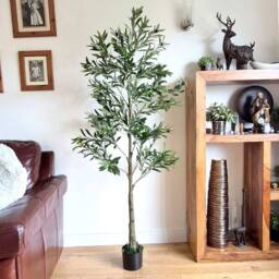 Voltico Artificial Olive Tree in Pot 175cm Realistic Faux Plant in Green - thumbnail 1