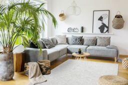 RugsX Patio Rug in Grey - Size: 78 cm x 150 cm - thumbnail 4
