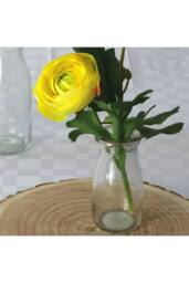 KDMD 38cm Rannunculus Yellow 5 Pack - thumbnail 5
