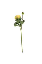 KDMD 38cm Rannunculus Yellow 5 Pack - thumbnail 2