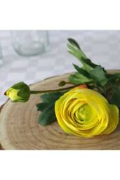 KDMD 38cm Rannunculus Yellow 5 Pack - thumbnail 4