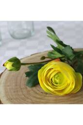 KDMD 38cm Rannunculus Yellow 5 Pack - thumbnail 3