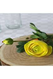 KDMD 38cm Rannunculus Yellow 5 Pack - thumbnail 7