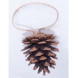 mysmartbuy Set of 12 Pinecone Christmas Tree Decorations with Hanging Loop - Festive Xmas Rustic Pine Cone Bauble Home Décor in Brown - thumbnail 6