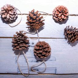 mysmartbuy Set of 12 Pinecone Christmas Tree Decorations with Hanging Loop - Festive Xmas Rustic Pine Cone Bauble Home Décor in Brown - thumbnail 3