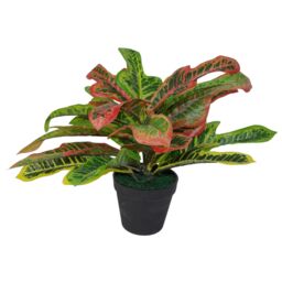Leaf 40cm Artificial Codiaeum Multicoloured Plant in Orange - thumbnail 1
