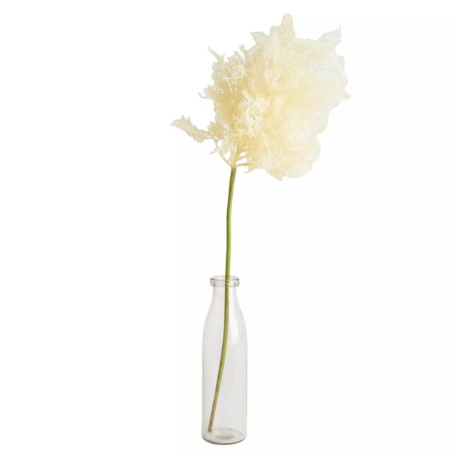 Bloom Artificial Single Tall Ivory Flowering Smoke Bush Spray Stem - Faux Fake Silk Flower Indoor Home Floral Decoration - L86cm in Off-White