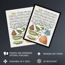 Artery8 Talewort Pea & Lantern Plant Calligraphy Framed Wall Art Print in White - Size: A4 - thumbnail 2