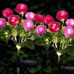 Havendro 2 Pack Purple rose Solar Powered Lights Outdoor Garden - thumbnail 3