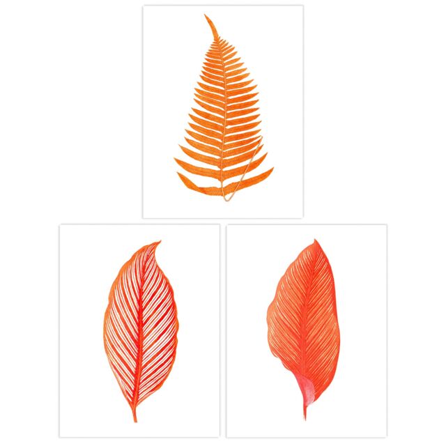 Artery8 Wall Art Print Pack of 3 A4 Elegant Fern Frond Plant Tree Bright Orange Leaf Detailed Foliage Botanical Living Room s Set - image 1