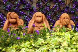 Marco Paul Three Wise Monkeys Speak See Hear No Evil - Garden Statue Set in Orange - thumbnail 6