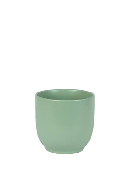 KDMD Matt Sage Hortus Pot 15.5x15cm 2 Pack in Pale Green - Size: 15.5x15 cm - image 1