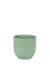 KDMD Matt Sage Hortus Pot 15.5x15cm 2 Pack in Pale Green - Size: 15.5x15 cm - thumbnail 1