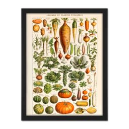 "Artery8 Wall Art Print Millot Encyclopedia Page Vegetables Legumes Large Framed Wall Décor Art in Brown - Size: W18"" x H24""" - thumbnail 1