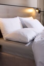 Snuggledown 2 Pack Hotel Medium Support Back Sleeper Pillow in White