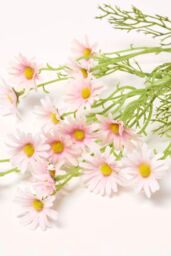 Homescapes Artificial Stem of Daisy Flowers in Pink - thumbnail 3