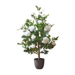Marco Paul Artificial House Plant 80cm White Rose Trees Indoor Potted Plant in Off-White - thumbnail 3