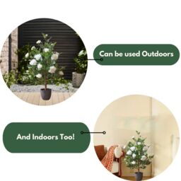 Marco Paul Artificial House Plant 80cm White Rose Trees Indoor Potted Plant in Off-White - thumbnail 6