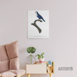 "Artery8 The Arimanon Parakeet Parrot Levaillant Canvas Wall Art Print in White - Size: W12"" x H16""" - thumbnail 3