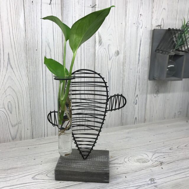 KDMD Hydroponic Home Decor - Cactus & Lab Pot in Black - image 1