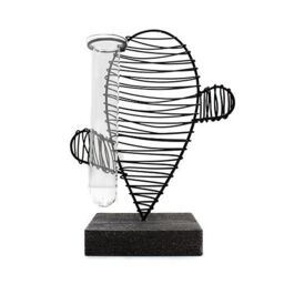 KDMD Hydroponic Home Decor - Cactus & Lab Pot in Black - thumbnail 2