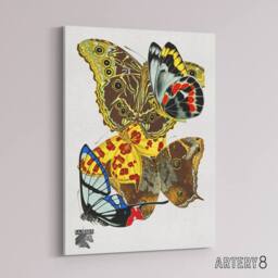"Artery8 Papillons Bright Vintage Butterflies Canvas Wall Art Print Seguy - Size: W18"" x H24""" - thumbnail 2