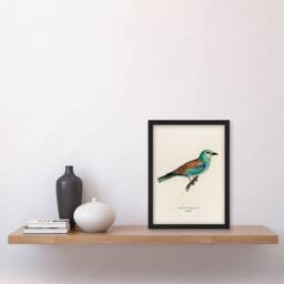 Artery8 Magnus Von Wright Framed Wall Art Print European Roller Bird in Beige - Size: A4 - thumbnail 2