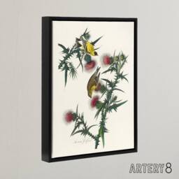 "Artery8 American Goldfinch & Thistle Audubon Nature Framed Canvas Wall Art in White - Size: W12"" x H16""" - thumbnail 2