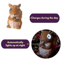 Marco Paul Solar Squirrel Light Ornament Woodland Animal in Beige - thumbnail 7