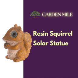 Marco Paul Solar Squirrel Light Ornament Woodland Animal in Beige - thumbnail 4