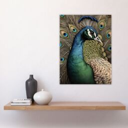"Artery8 Curious Peacock Detailed Pen & Ink Study Turquoise Modern Large Wall Art Poster Print Thick Paper 18X24 Inch - Size: W18"" x H24""" - thumbnail 4