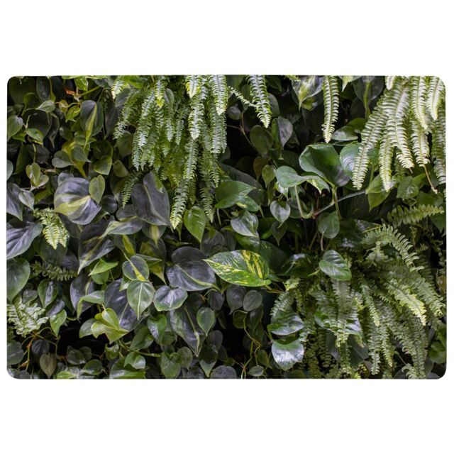 Benjamin Tate Design Urban Jungle, Modern Interior Decoration Designer Rug in Natural - Size: Large - image 1