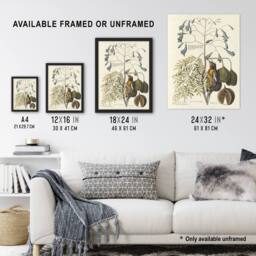 "Artery8 Vintage Bird & Plant Illustration Catesby Wall Art Poster Print in Beige - Size: W12"" x H16""" - thumbnail 3