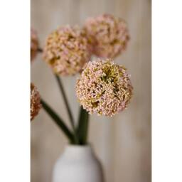 Lemon Pavilion Furniture and Decor Allium (Single Stem Flower) - Plastic - L11 x W11 x H75 cm - Pink - thumbnail 5