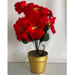 mysmartbuy Artificial LED Red Poinsettia Plant in Gold Pot - Faux Realistic Floral Home Christmas Decoration with 10 Lights - H35 x 28cm - thumbnail 3