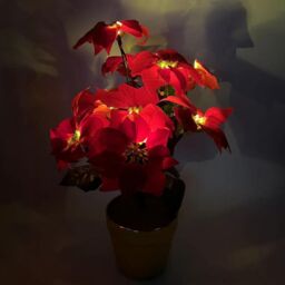mysmartbuy Artificial LED Red Poinsettia Plant in Gold Pot - Faux Realistic Floral Home Christmas Decoration with 10 Lights - H35 x 28cm - thumbnail 6