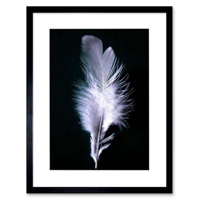 "Artery8 Black White Photo Bird Feather Home Decor 12x16"" Framed Wall Art Print - Size: W12"" x H16""" - image 1