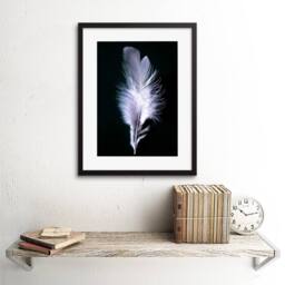 "Artery8 Black White Photo Bird Feather Home Decor 12x16"" Framed Wall Art Print - Size: W12"" x H16""" - thumbnail 2