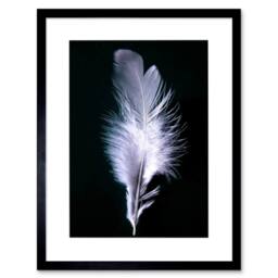 "Artery8 Black White Photo Bird Feather Home Decor 12x16"" Framed Wall Art Print - Size: W12"" x H16""" - thumbnail 1