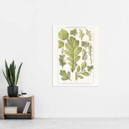 "Artery8 Plant Lover Leaves Brockhaus Lexikon Vintage Wall Art Print Poster in White - Size: W18"" x H24""" - thumbnail 4