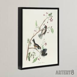 "Artery8 Canadian Titmouse Bird Audubon Nature Black Framed Canvas Wall Art in White - Size: W12"" x H16""" - thumbnail 2