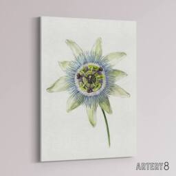 "Artery8 Passion Flower Bloom Floral Drawing Bernard Canvas Wall Art in White - Size: W18"" x H24""" - thumbnail 2