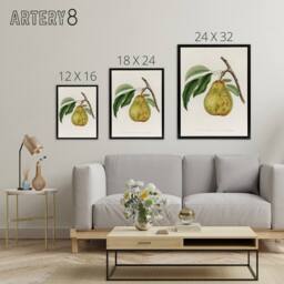 "Artery8 Illustration of a Pear Jacob Sturm Black Framed Canvas Wall Art in White - Size: W18"" x H24""" - thumbnail 4