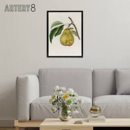 "Artery8 Illustration of a Pear Jacob Sturm Black Framed Canvas Wall Art in White - Size: W18"" x H24""" - thumbnail 3