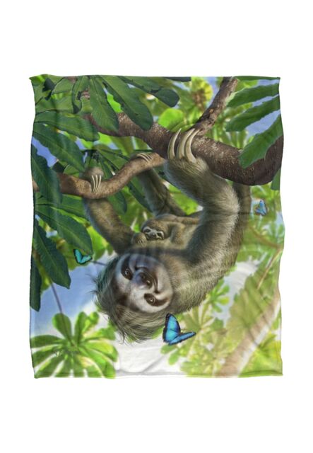 JQ Licensing Jlo Sloth Family Butterlies Silky Touch Super Soft Throw Blanket 152 X 127 cm in White - image 1