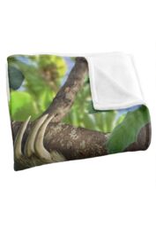 JQ Licensing Jlo Sloth Family Butterlies Silky Touch Super Soft Throw Blanket 152 X 127 cm in White - thumbnail 3