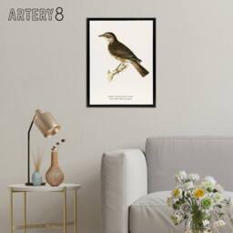 "Artery8 Redwing Bird Turdus Iliacus Von Wright Vintage Framed Canvas Wall Art in White - Size: W24"" x H32""" - thumbnail 3