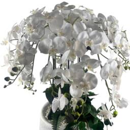 Leaf 150cm White Orchid Potted Display Artificial Premium - thumbnail 2