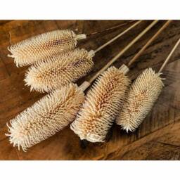 Lemon Pavilion Furniture and Decor Bouquet of Dried Tall Thistle Artificial Plant - L12 x W12 x H60 cm in White - thumbnail 3