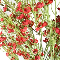 Leaf Pack of 6 x 100cm Artificial Foliage Stem with Small Flowers - Red - Size: 6 x 100 cm - thumbnail 4